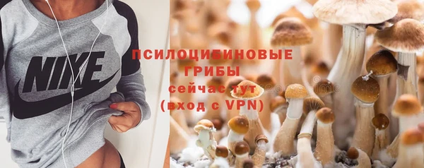 эйфоретик Куйбышев